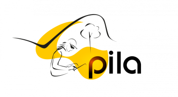 Formación Proyecto PILA